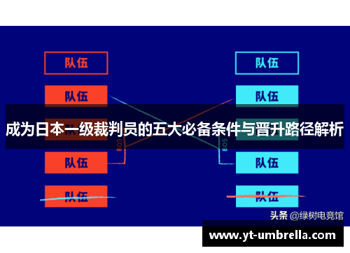 成为日本一级裁判员的五大必备条件与晋升路径解析