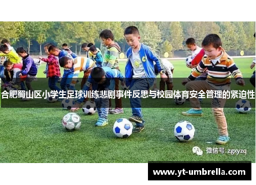 合肥蜀山区小学生足球训练悲剧事件反思与校园体育安全管理的紧迫性